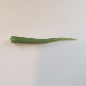 Electric Eel Replacement Tails - 4" for 1 oz Jig